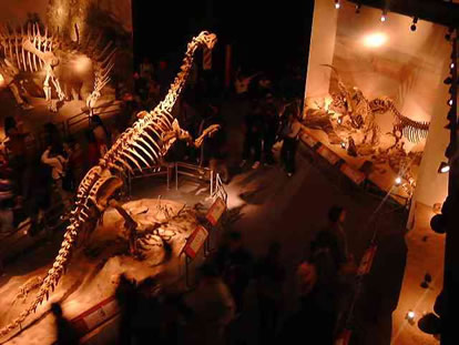 アルゼンチン・チュブ州の恐竜博物館